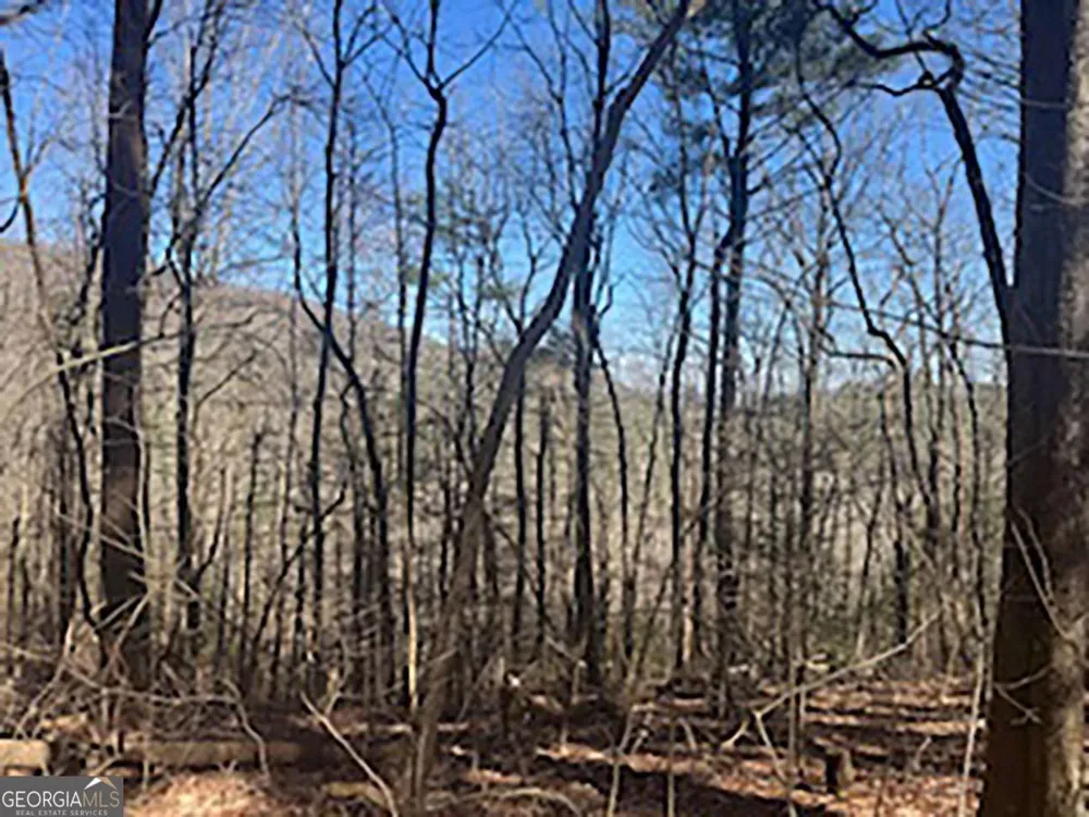 LOT 14 Butler Creek RD Cherry Log, GA 30522