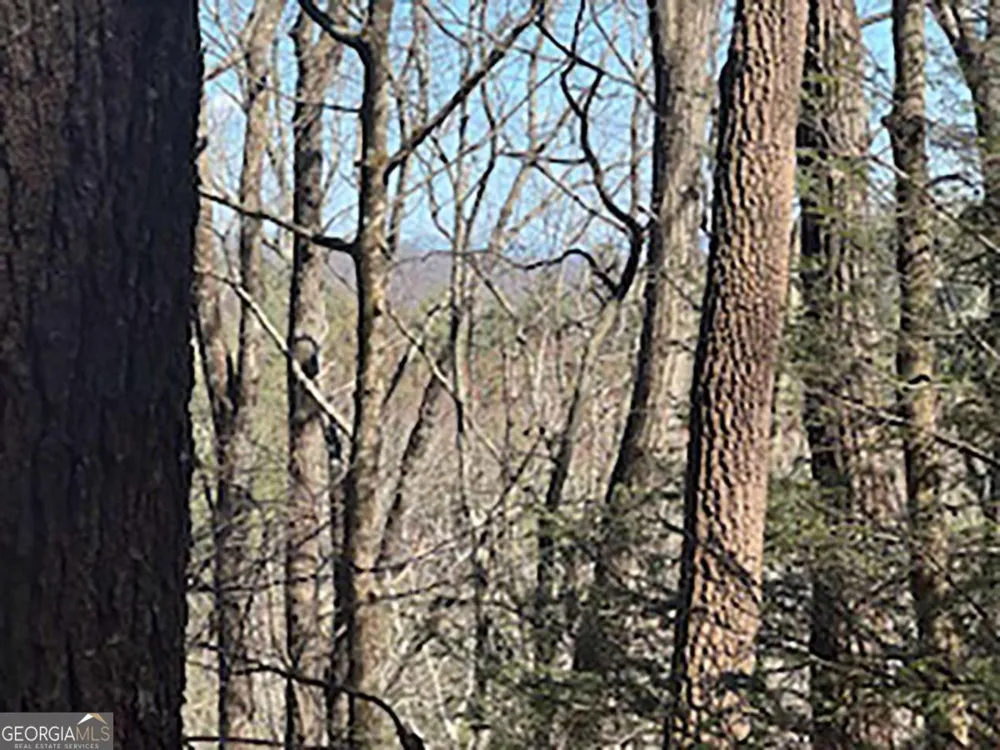 LOT 14 Butler Creek RD Cherry Log, GA 30522
