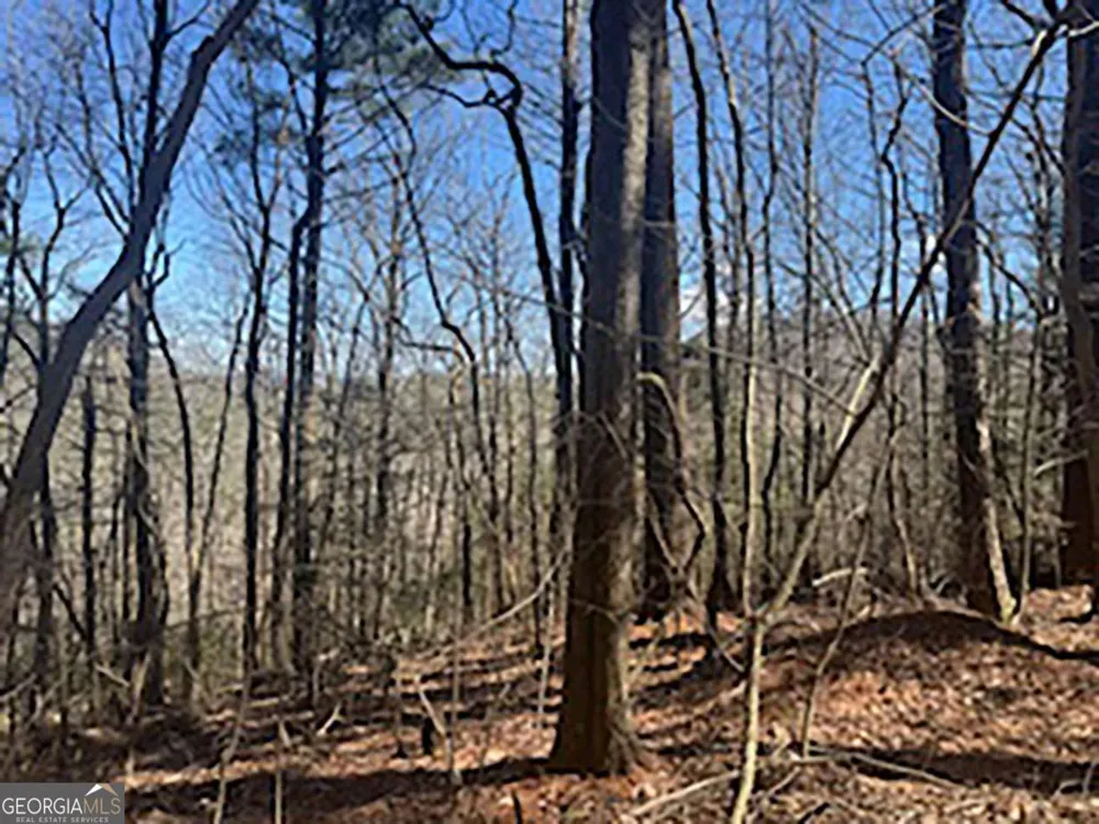 LOT 14 Butler Creek RD Cherry Log, GA 30522