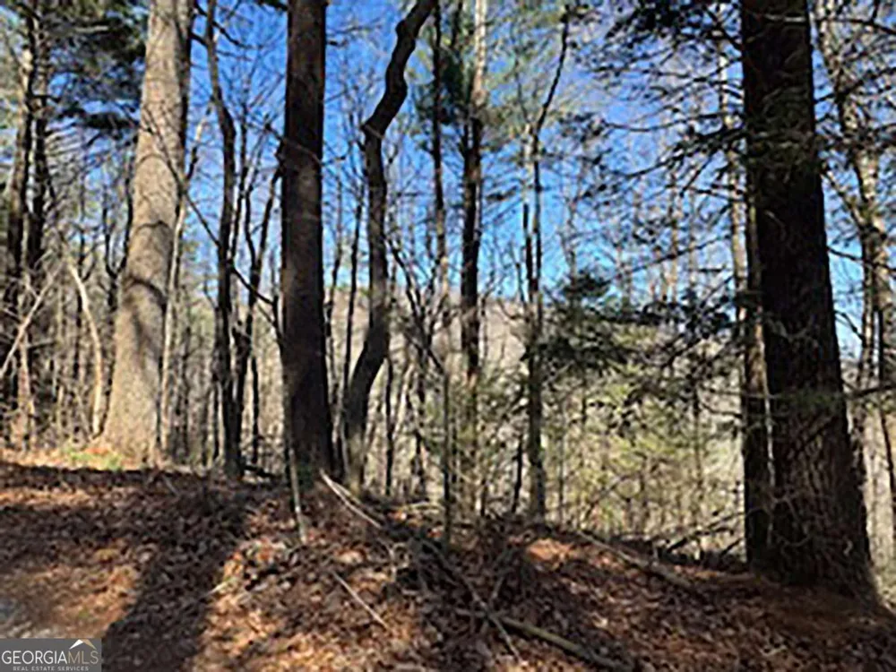 LOT 14 Butler Creek RD Cherry Log, GA 30522