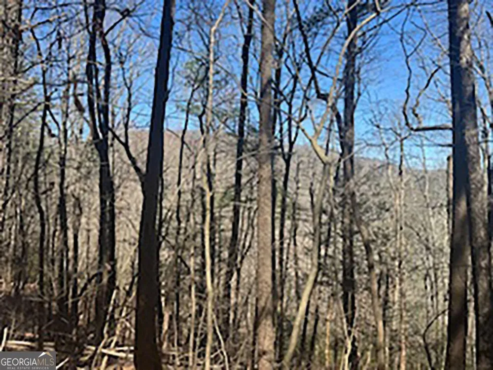 LOT 14 Butler Creek RD Cherry Log, GA 30522