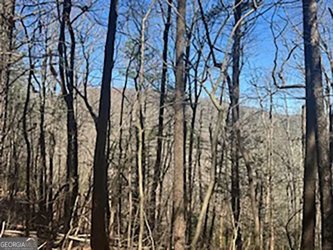 LOT 14 Butler Creek RD