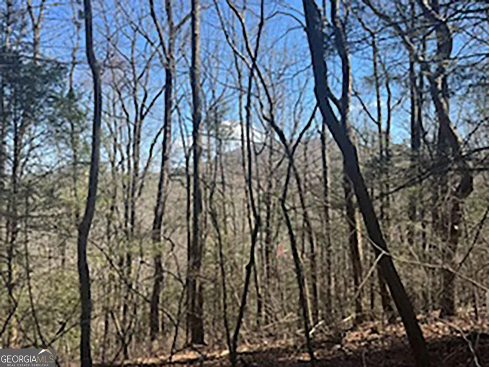 LOT 14 Butler Creek RD Cherry Log, GA 30522