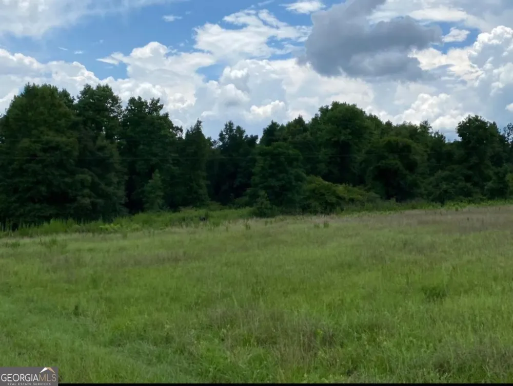 1220 State Route 49 Oglethorpe, GA 31068