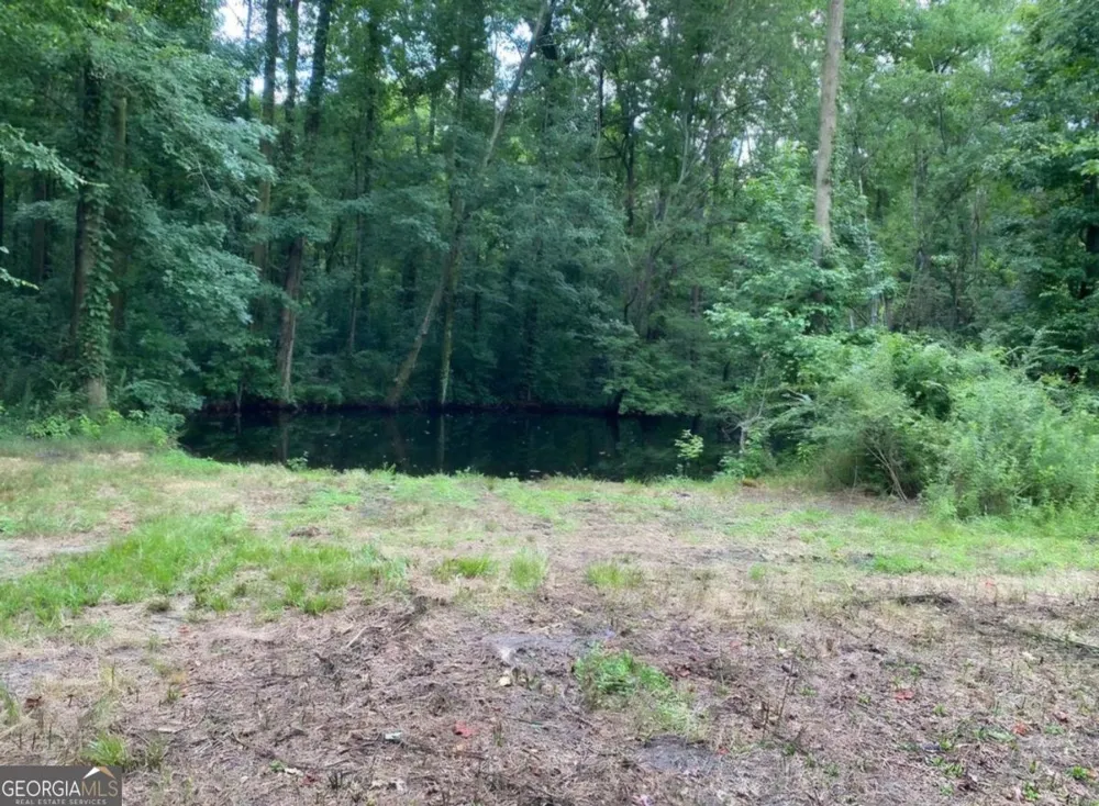 1220 State Route 49 Oglethorpe, GA 31068