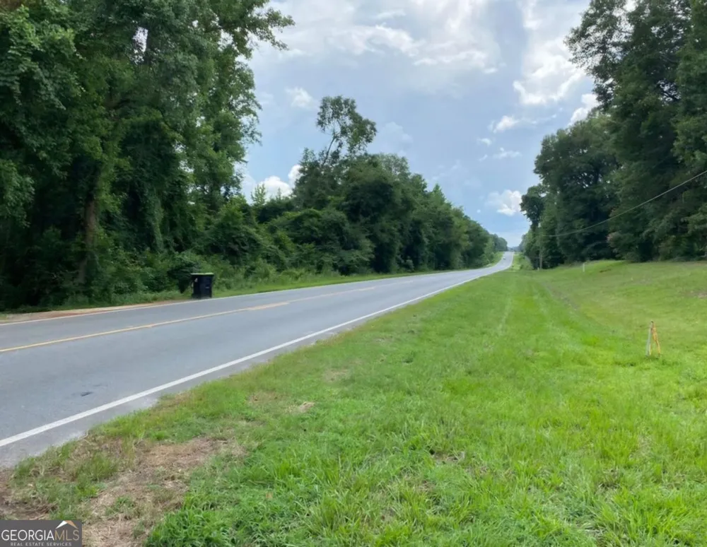 1220 State Route 49 Oglethorpe, GA 31068