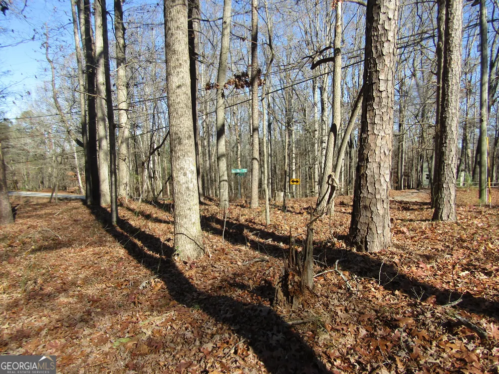 0 Fence RD Dacula, GA 30019