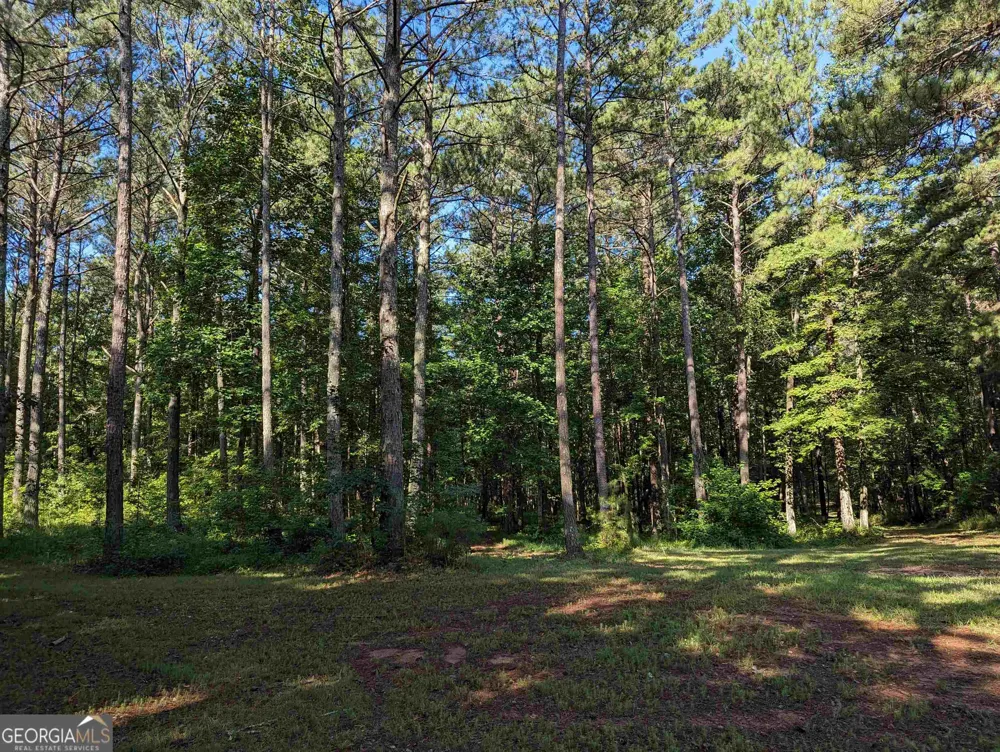 LOT 3 Joe Roberts RD Newnan, GA 30263