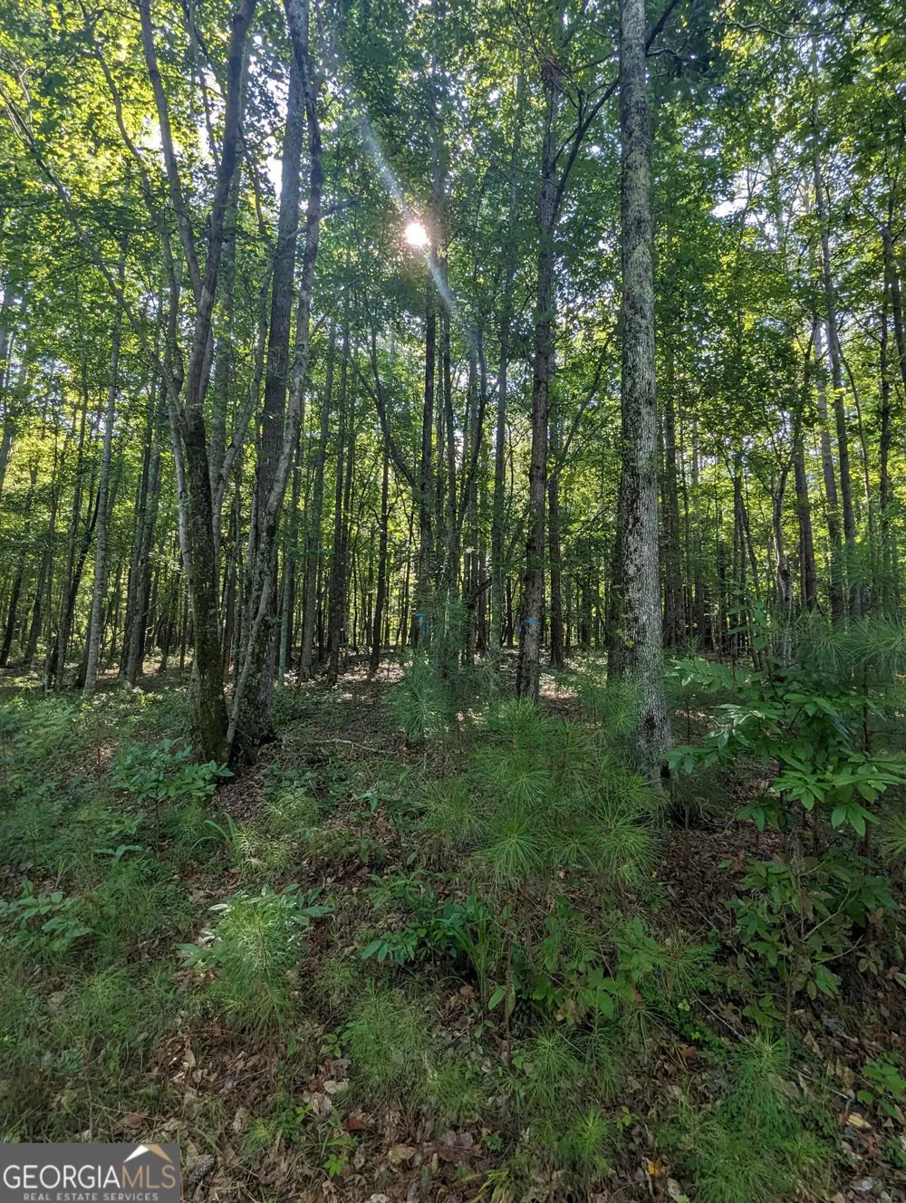 LOT 3 Joe Roberts RD Newnan, GA 30263