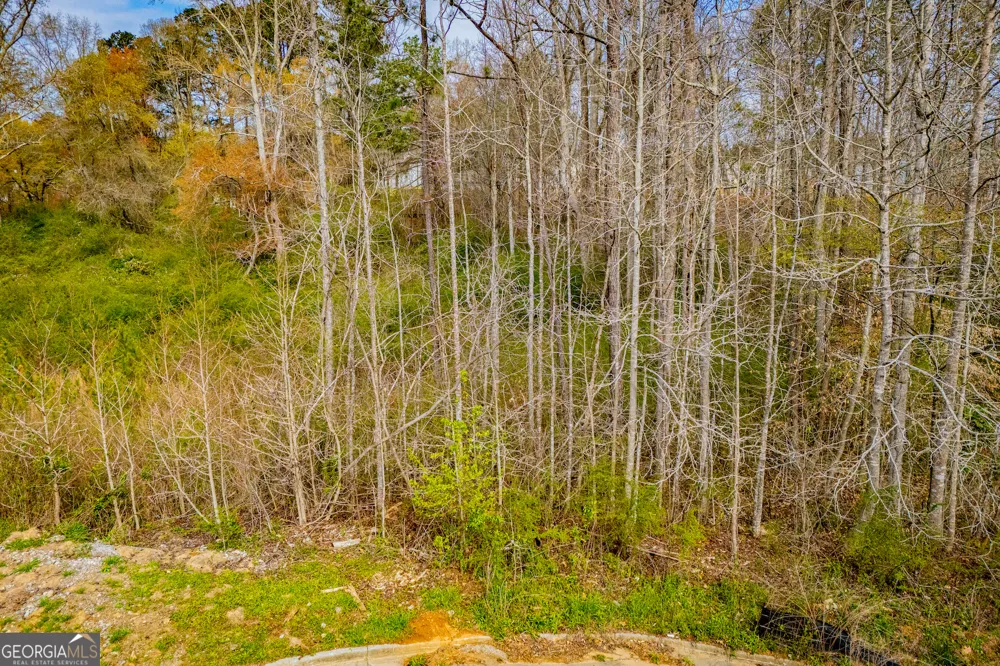 138 Deer XING Temple, GA 30179