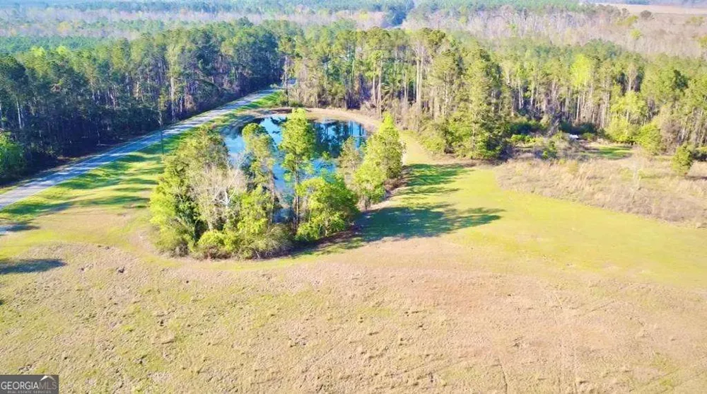 1881 Bell Telephone RD Hazlehurst, GA 31539