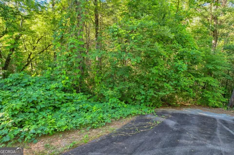 LOT 112 Timber Creek DR