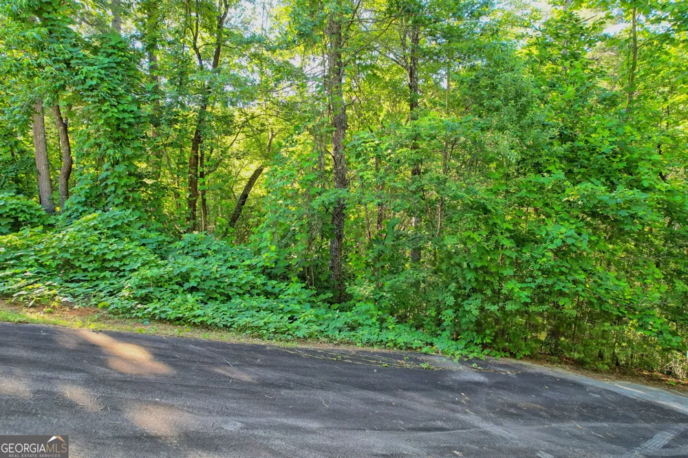 LOT 112 Timber Creek DR Clayton, GA 30525