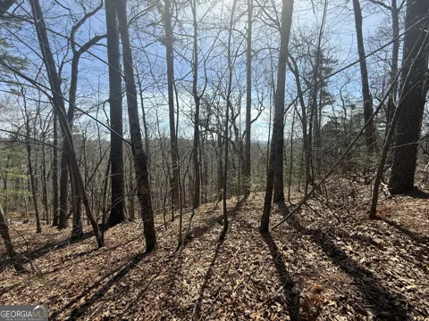 TRACT 3A Big View LN