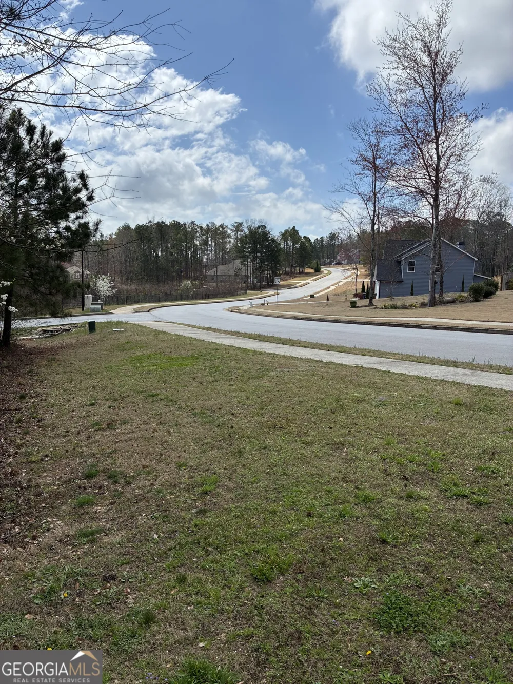 7010 Palomino TRL Winston, GA 30187