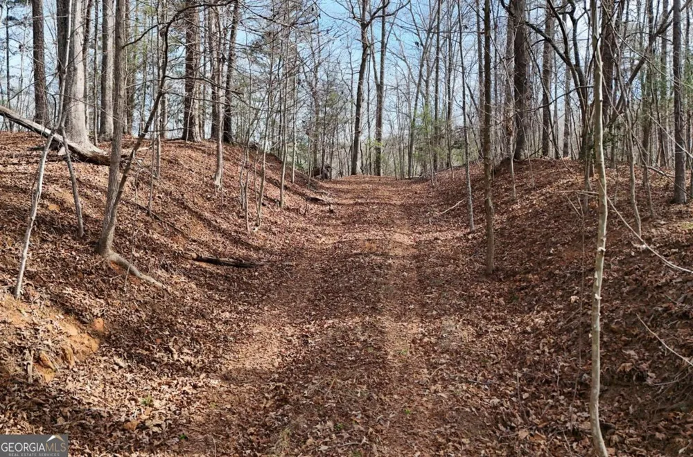 LOT #8 Casa Rio DR Cornelia, GA 30531