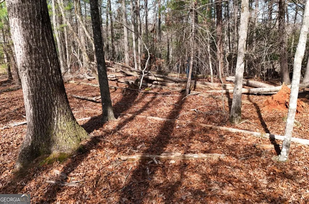 LOT #8 Casa Rio DR Cornelia, GA 30531