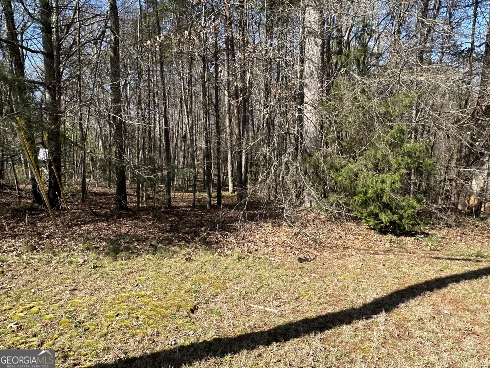 0 Stephen DR Toccoa, GA 30577