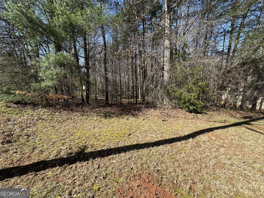 0 Stephen DR Toccoa, GA 30577