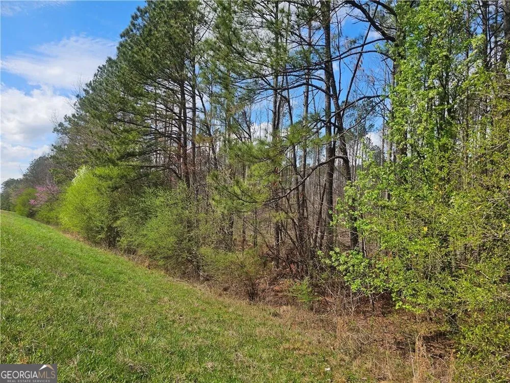 0 Alabama HWY Rome, GA 30165