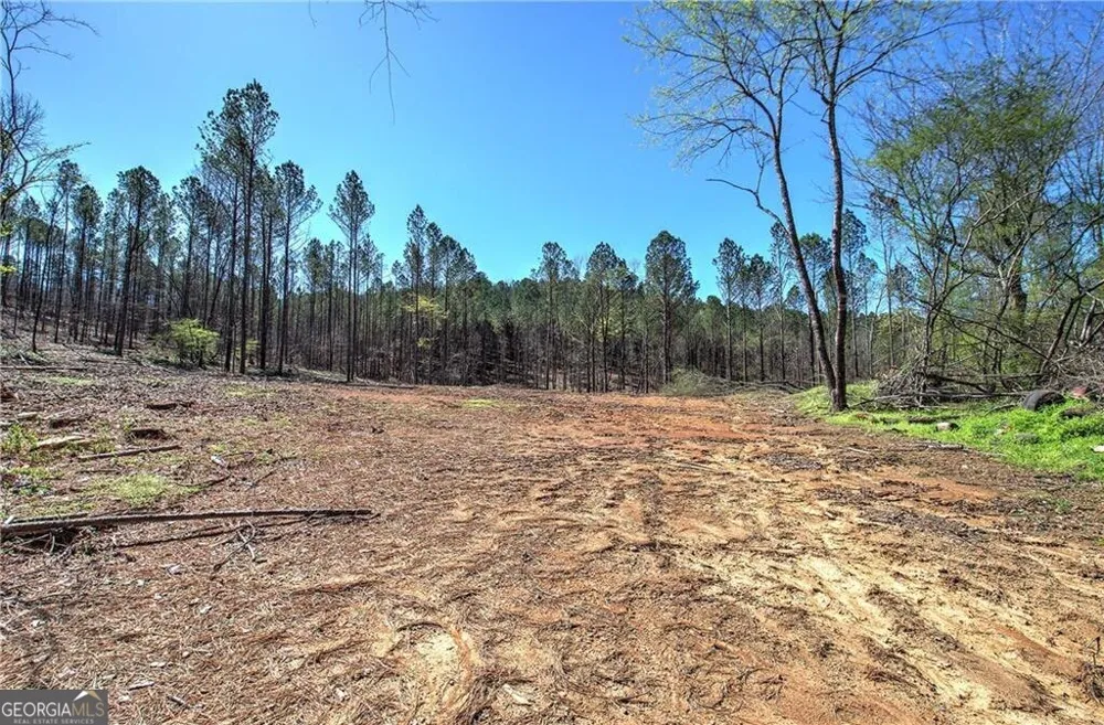 0 Alabama HWY Rome, GA 30165