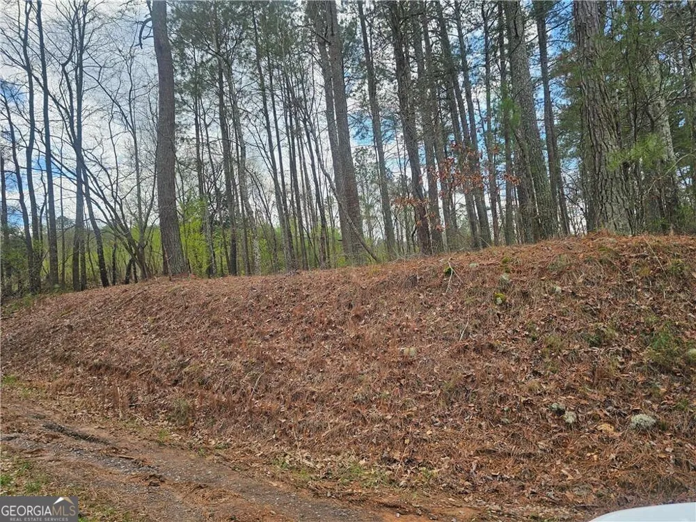 0 Alabama HWY Rome, GA 30165