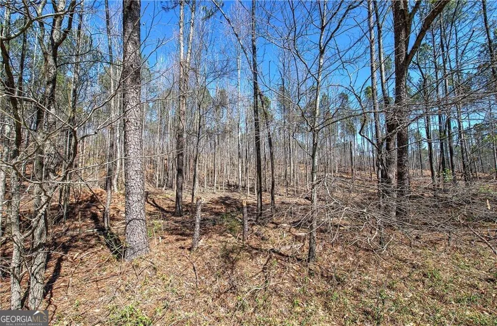0 Alabama HWY Rome, GA 30165