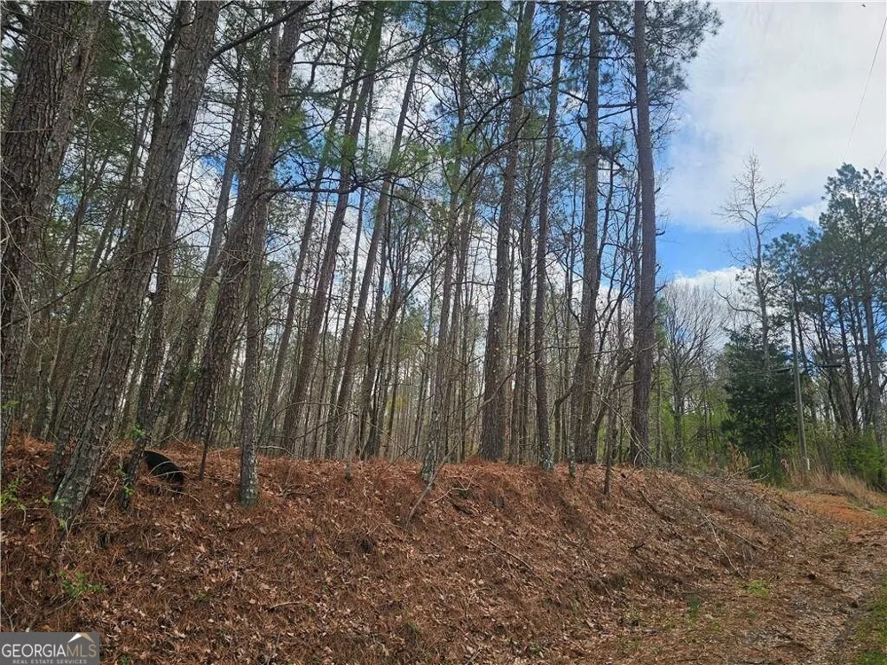 0 Alabama HWY Rome, GA 30165