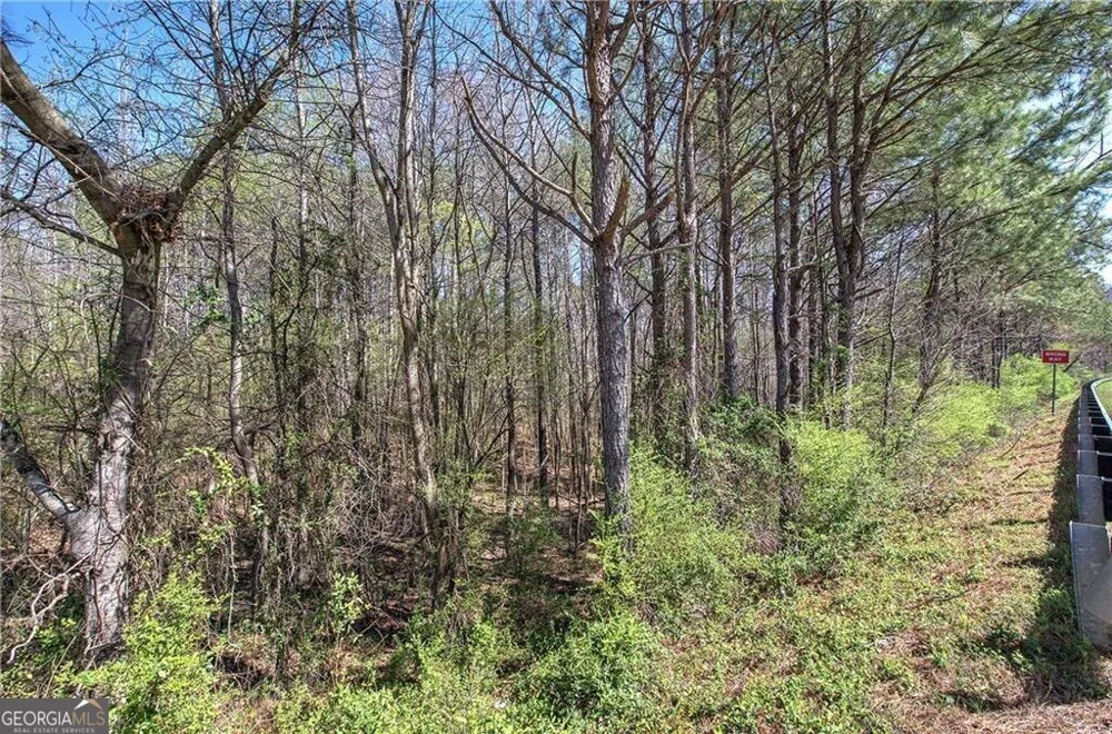 0 Alabama HWY Rome, GA 30165