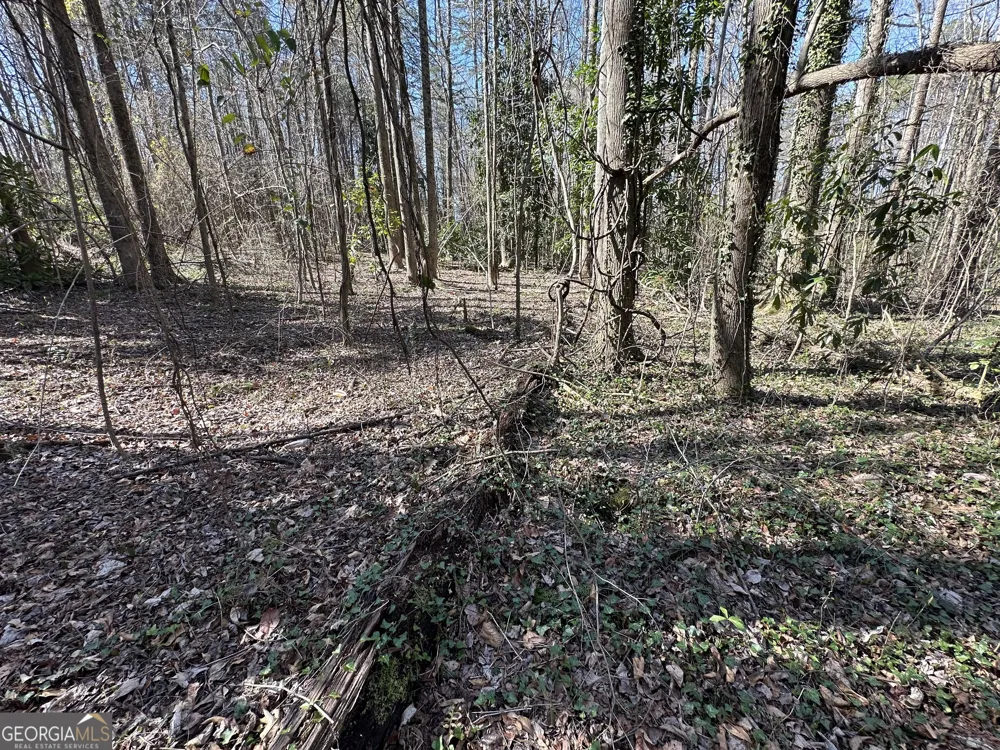 0 Stephen DR Toccoa, GA 30577