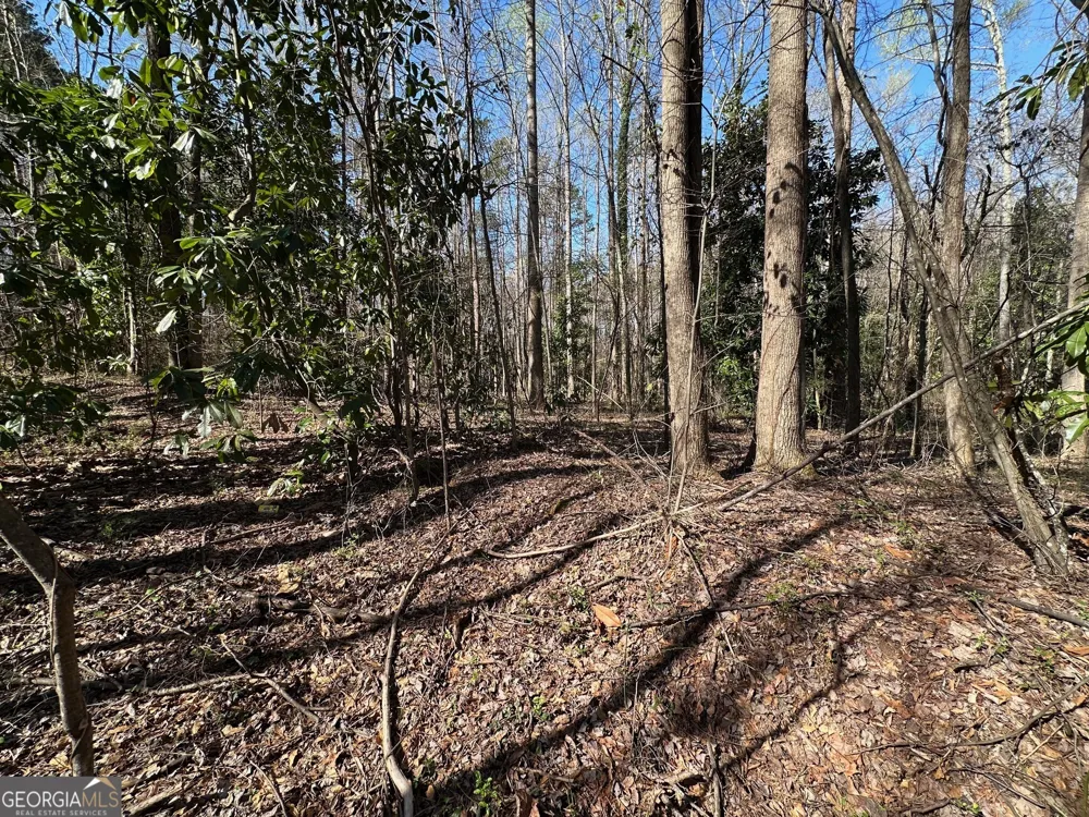 0 Stephen DR Toccoa, GA 30577