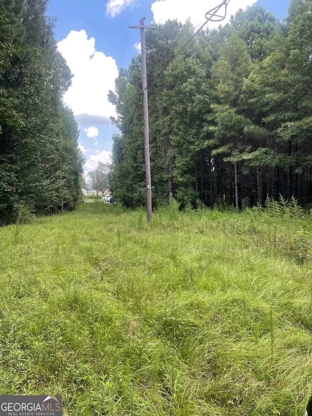 0 Main ST Milner, GA 30257