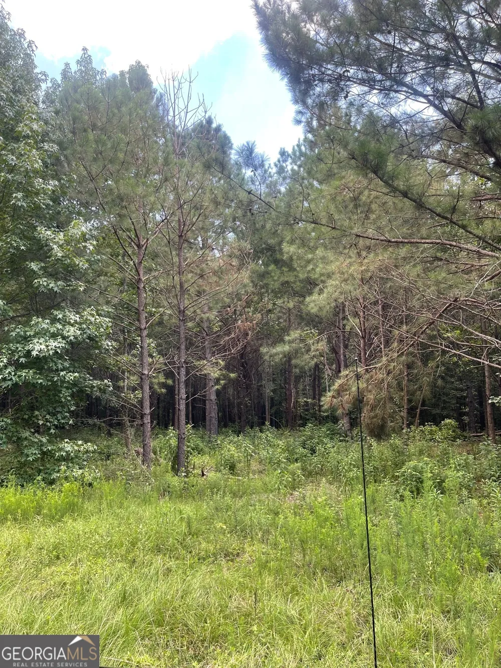 O  LOT 4 Main ST Milner, GA 30257