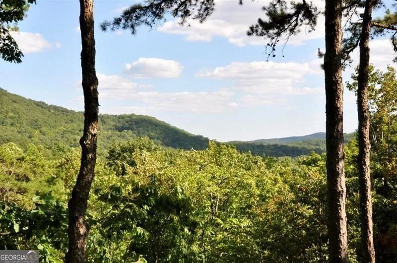 64 Wrens Nest Big Canoe, GA 30143