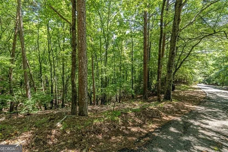 64 Wrens Nest Big Canoe, GA 30143