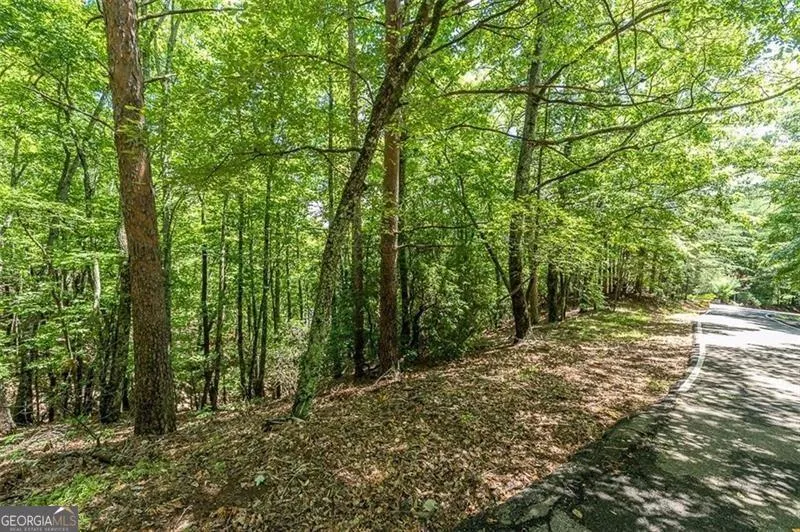 64 Wrens Nest Big Canoe, GA 30143