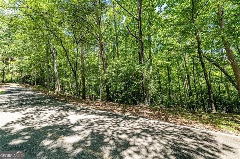 64 Wrens Nest Big Canoe, GA 30143