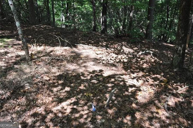 64 Wrens Nest Big Canoe, GA 30143