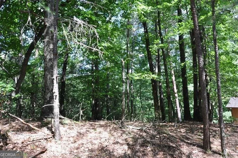 64 Wrens Nest Big Canoe, GA 30143