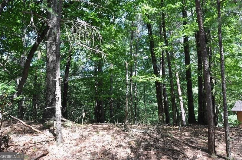 64 Wrens Nest Big Canoe, GA 30143