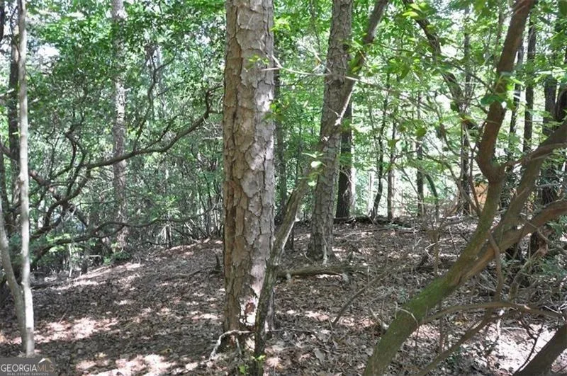 64 Wrens Nest Big Canoe, GA 30143