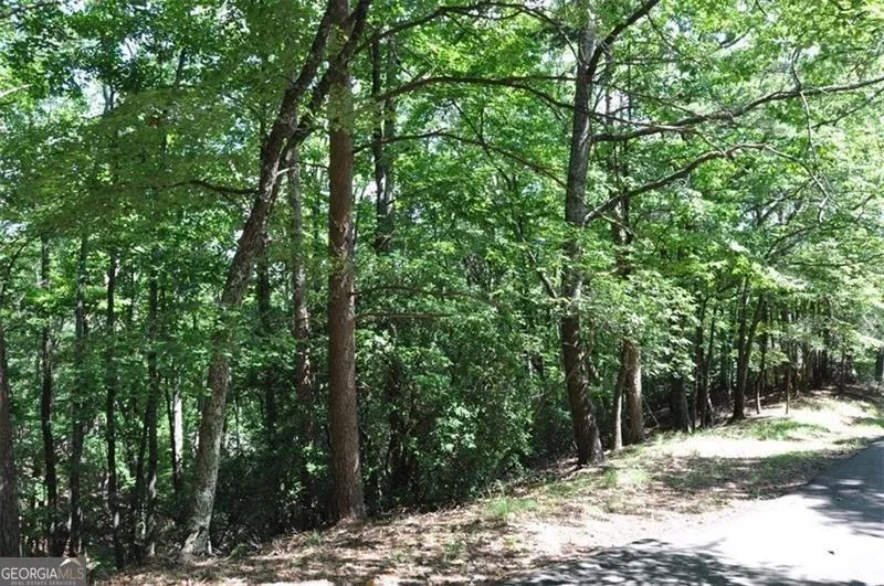 64 Wrens Nest Big Canoe, GA 30143
