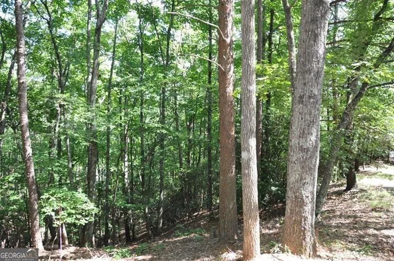 64 Wrens Nest Big Canoe, GA 30143