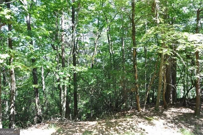 64 Wrens Nest Big Canoe, GA 30143