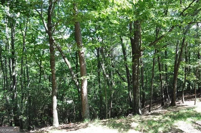 64 Wrens Nest Big Canoe, GA 30143