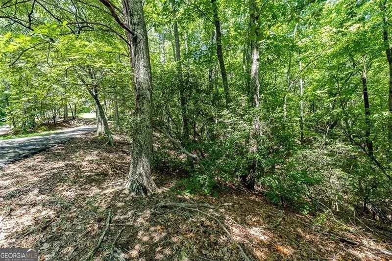 64 Wrens Nest Big Canoe, GA 30143