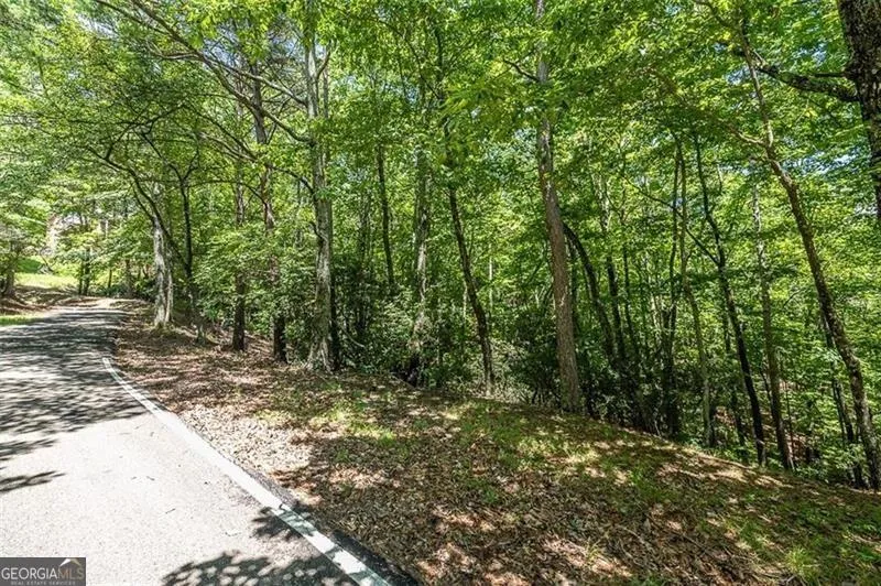 64 Wrens Nest Big Canoe, GA 30143