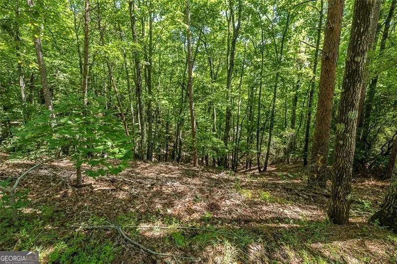 64 Wrens Nest Big Canoe, GA 30143