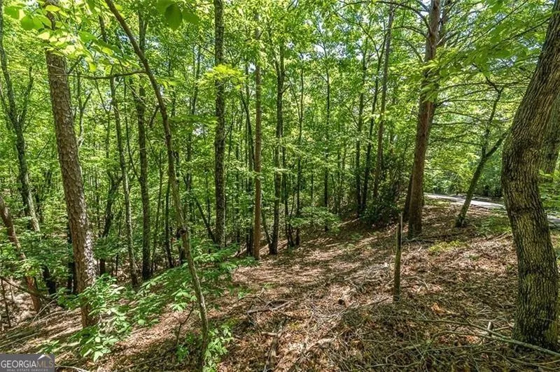 64 Wrens Nest Big Canoe, GA 30143