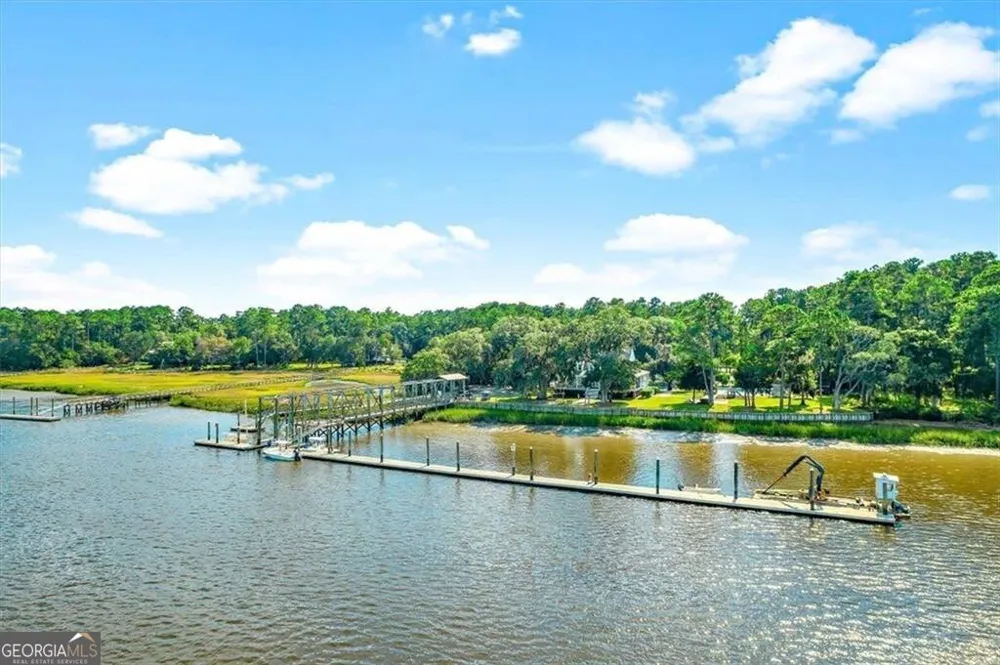 1121 Fair Hope DR NE Townsend, GA 31331